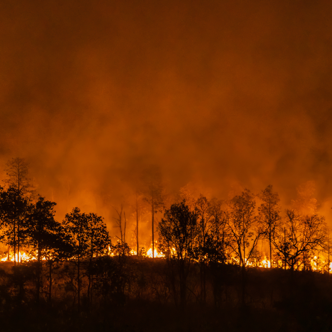 The Science Behind Extreme Weather Events: Understanding Their Causes and Impacts