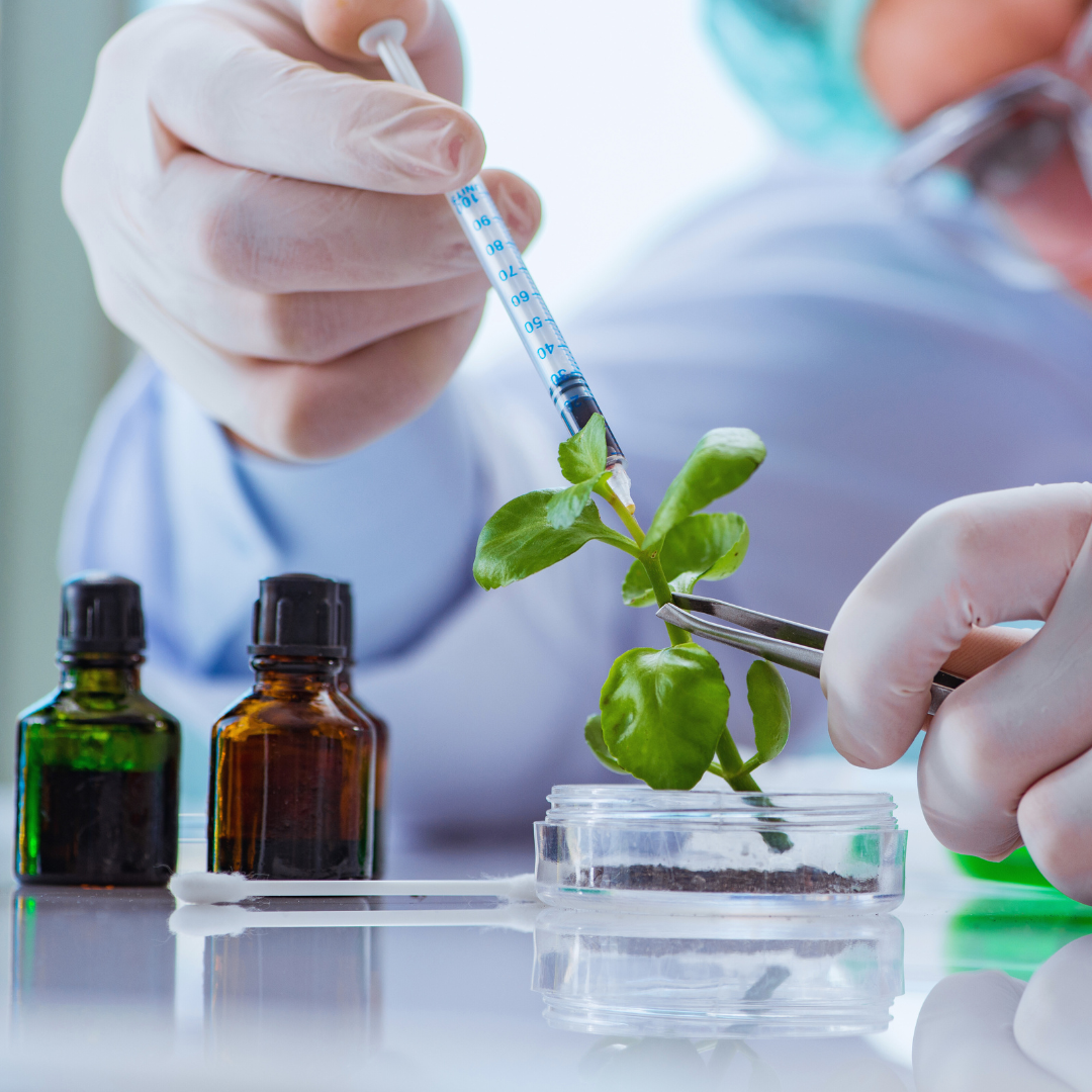 How Biotechnology Helps Protect the Environment: Innovative Solutions for Sustainable Conservation