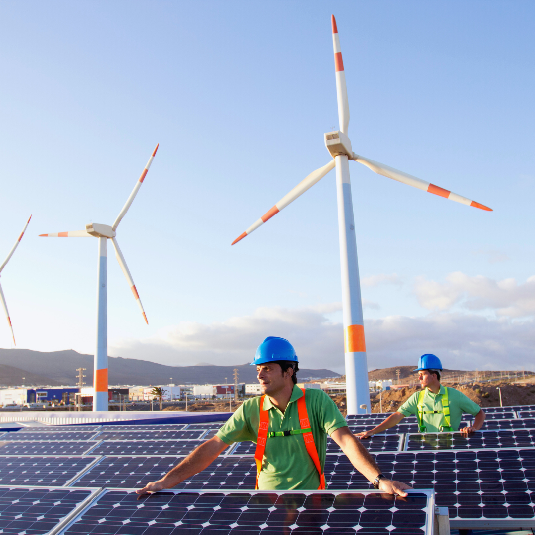 How to Add Renewable Energy to Your Business: A Step-by-Step Guide for Sustainable Growth