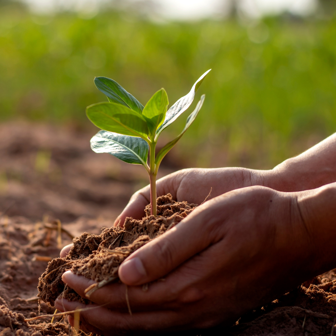 One Health: Connecting Human, Animal, and Environmental Health for a Sustainable Future