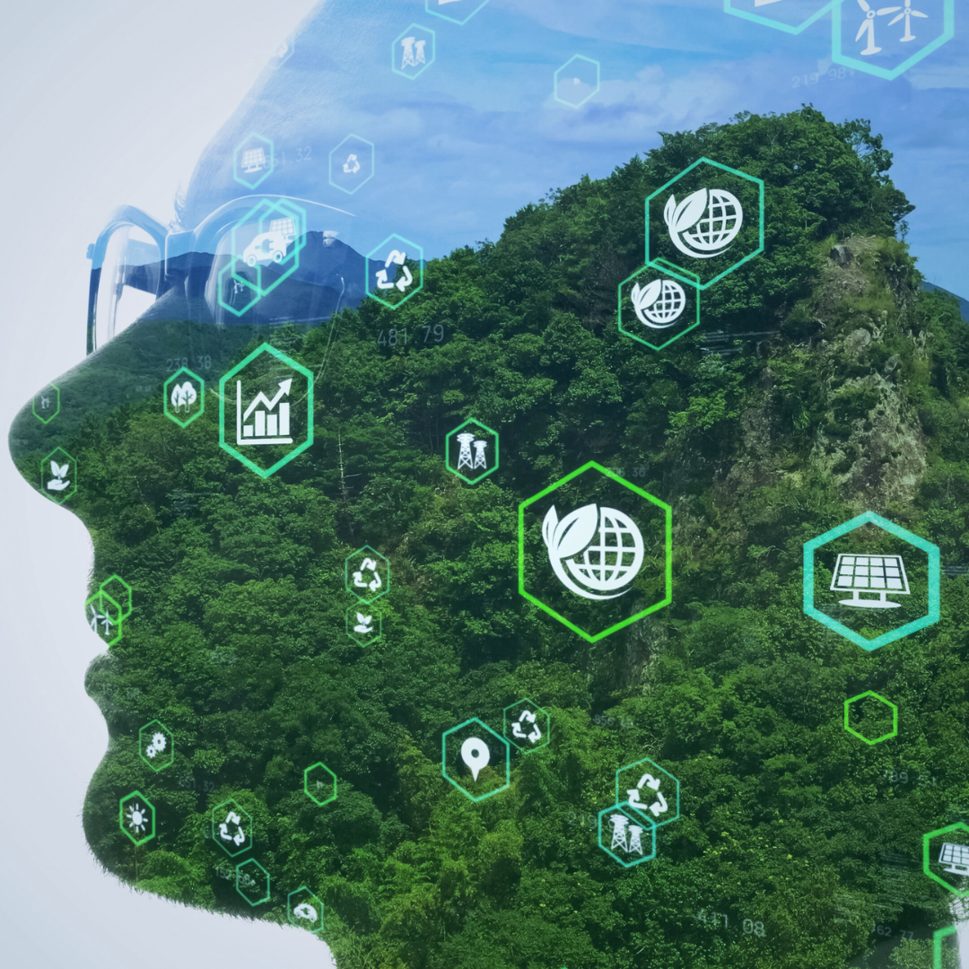 The Market Potential of Eco-Friendly Products: Trends and Opportunities for Sustainable Growth