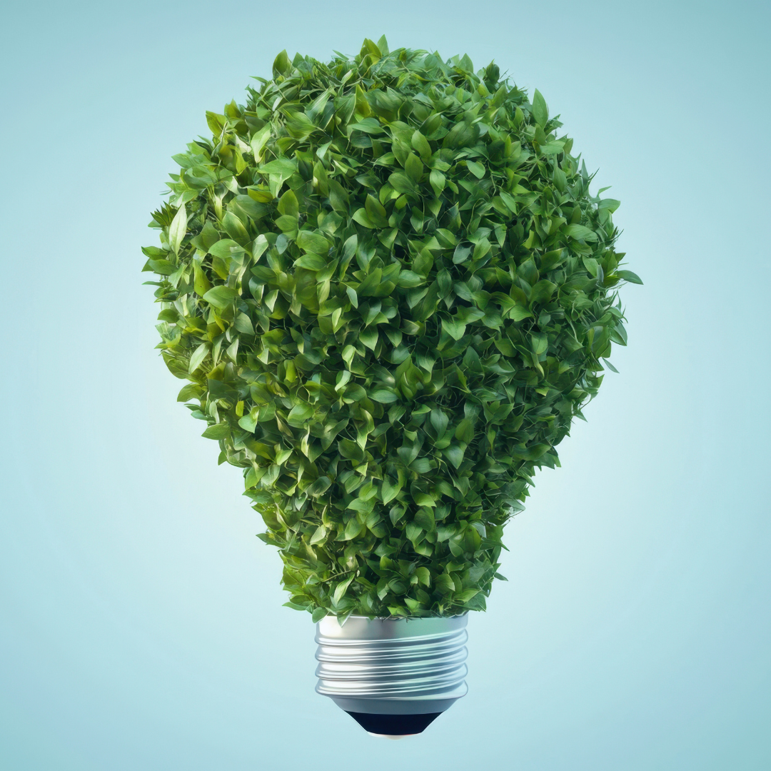 Best Green Cleaning Products for Families That Are Safe and Effective