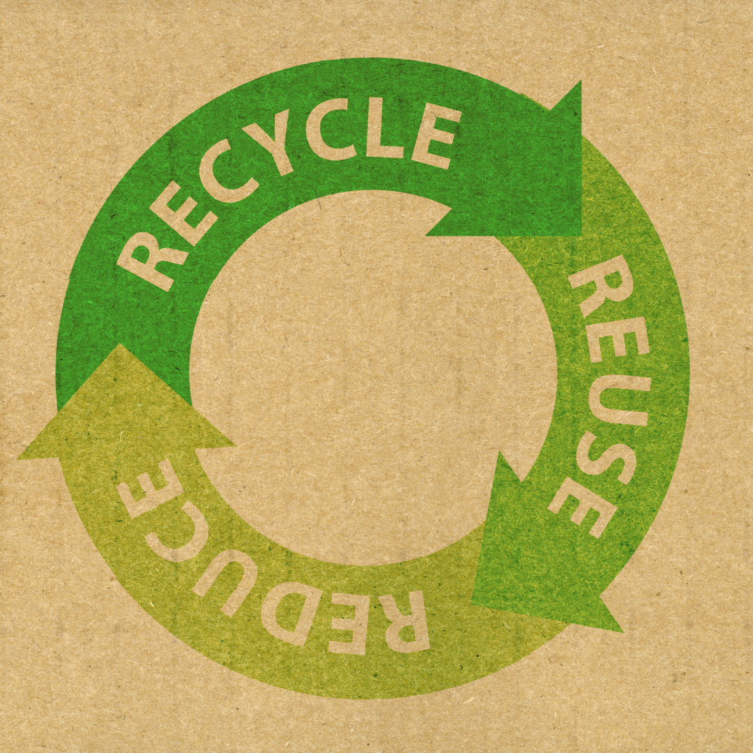 Best Sustainable Practices for Daily Living to Reduce Environmental Impact