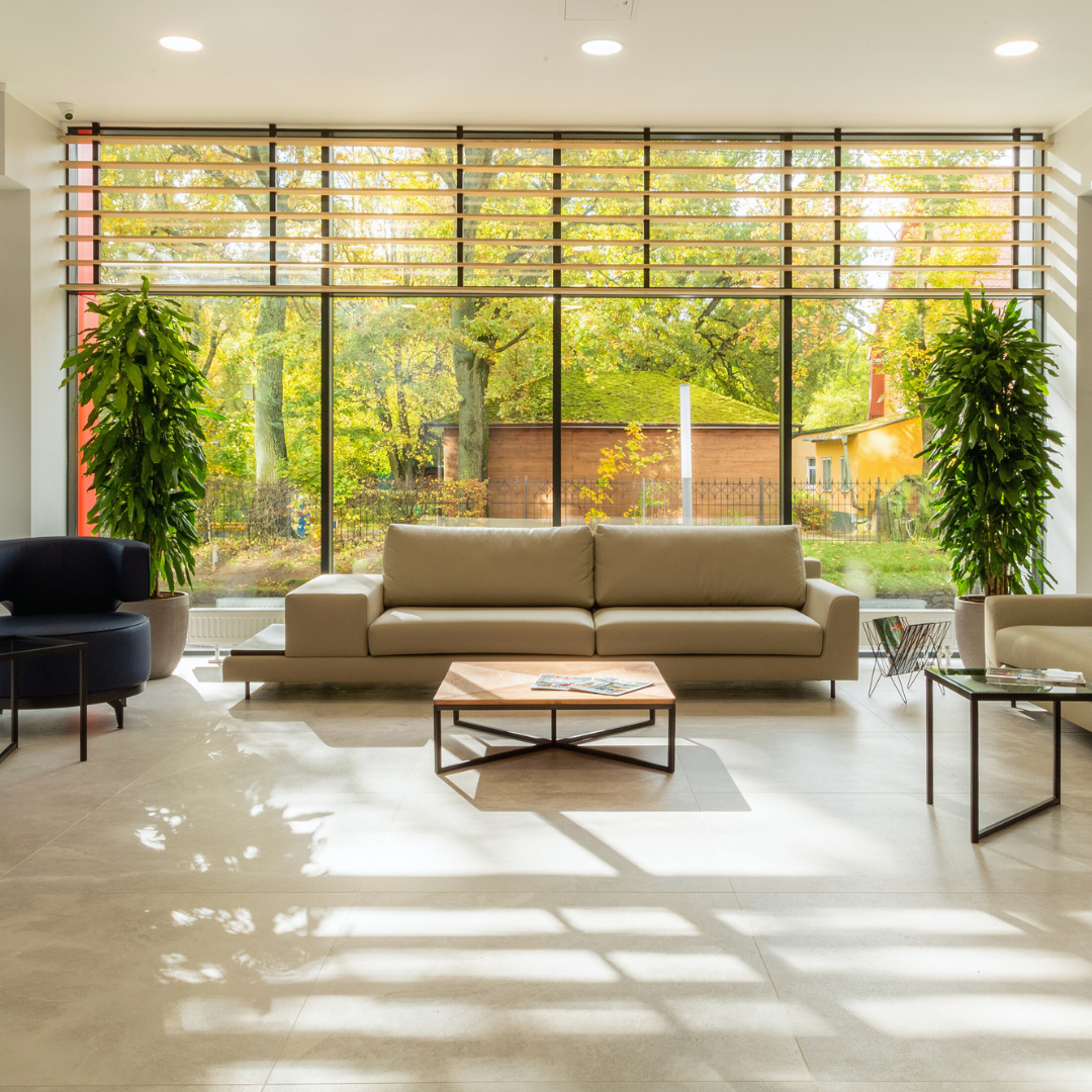 How to Make Your Living Space More Sustainable With Practical and Effective Tips