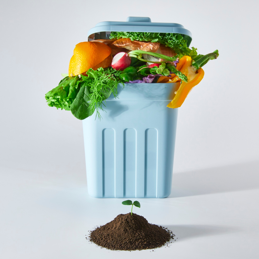 How to Reduce Your Household Waste with Simple and Effective Strategies